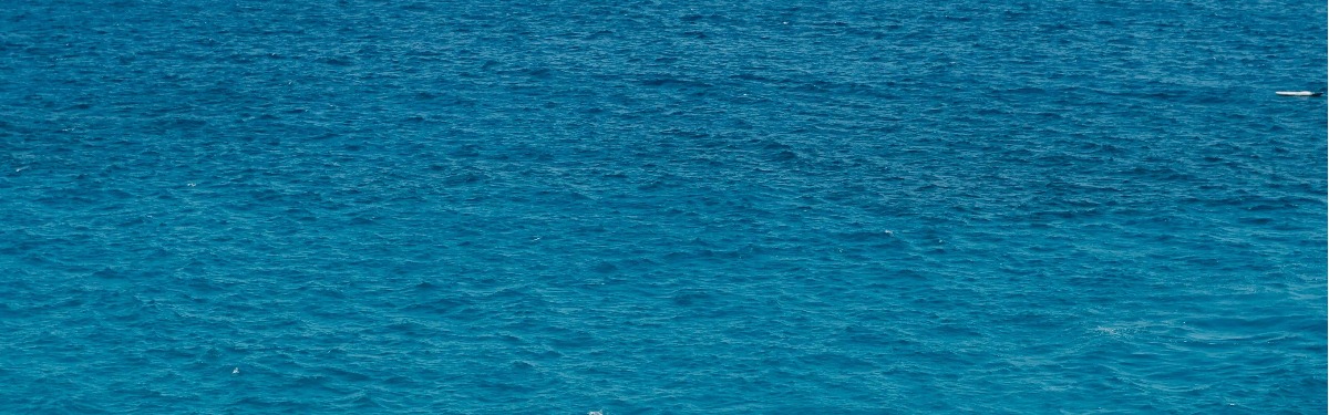 搜索本站精品资源