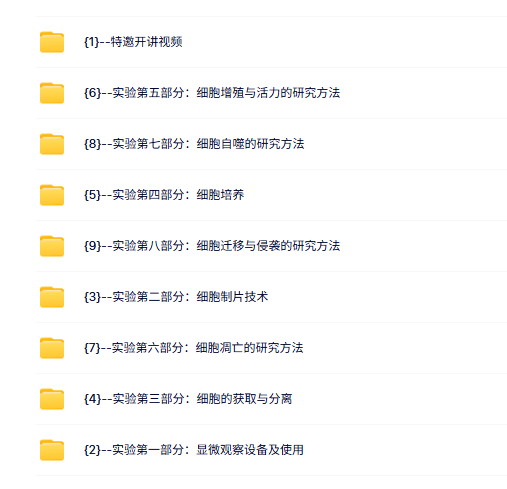 南京大学 细胞生物学实验（薛雅蓉版）45课时 含课件 高清 手机可看